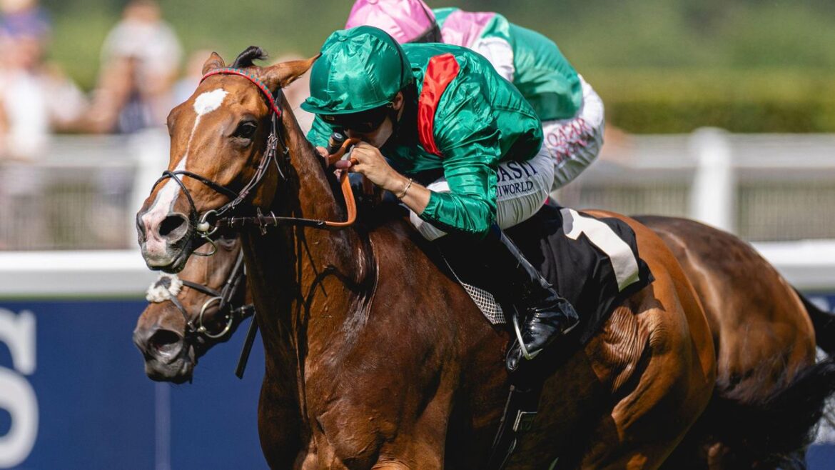 Calandagan conquers Japan Cup with hard fought win in Tokyo skybet