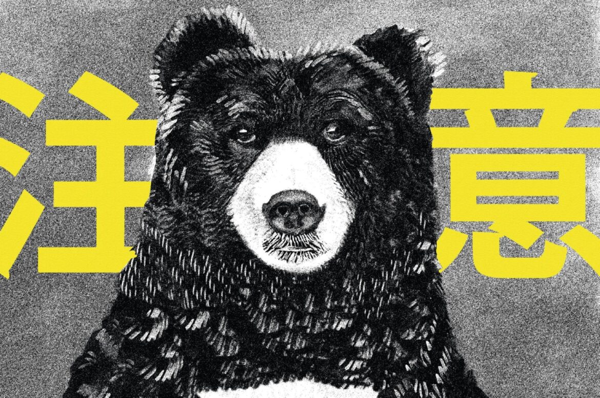 Japan’s bears have been on their killing spree for more than 100 years Japan’s bears have been on their killing spree for more than 100 years
