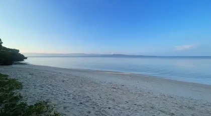 Discover Hatoma, Okinawa’s hidden island of butterflies Discover Hatoma, Okinawa’s hidden island of butterflies