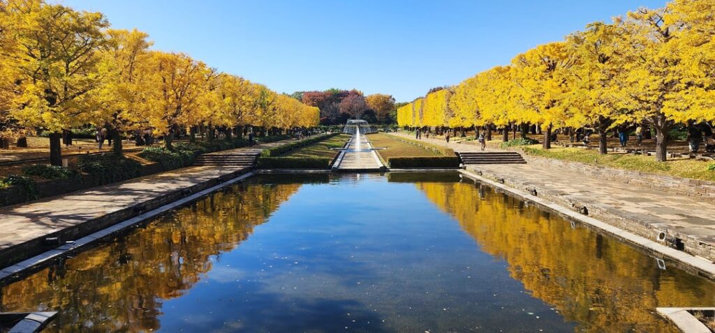 Showa Kinen Park (Nov.17, 2025)