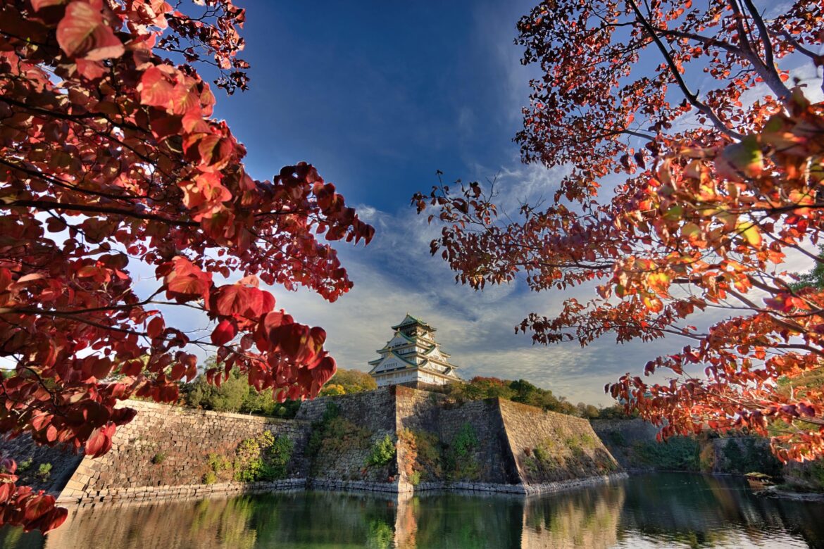 Osaka Castle, November 2025