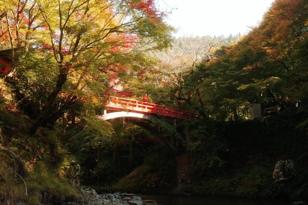 Hidden Gems of Kyoto