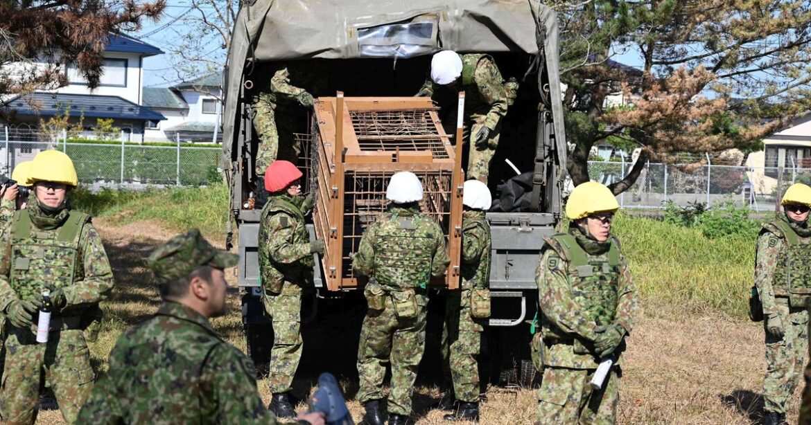 Foreign Office’s ‘danger to life’ warning for famously safe country | Asia | Travel Foreign Office's ‘danger to life’ warning for famously safe country | Asia | Travel