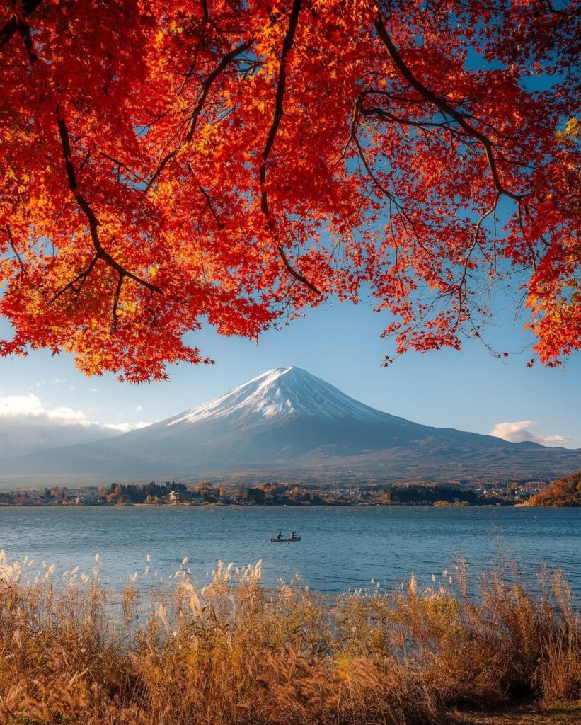 Japan in autumn season🍂🍁