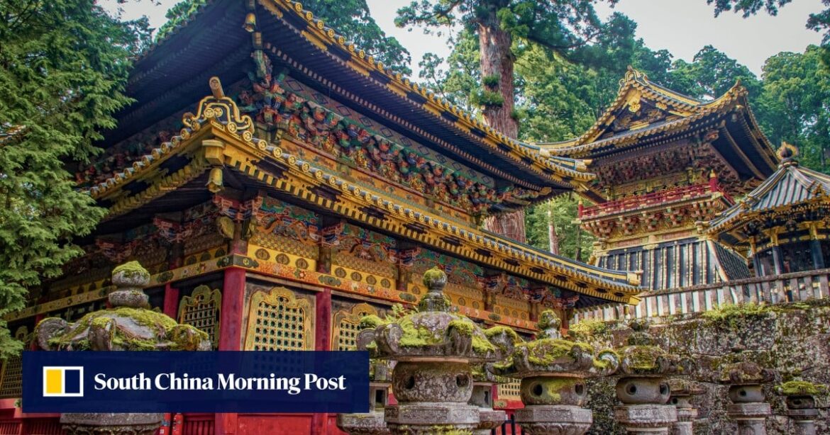 A paper-eating invasive pest could wreak havoc on Japan’s cultural treasures A paper-eating invasive pest could wreak havoc on Japan’s cultural treasures