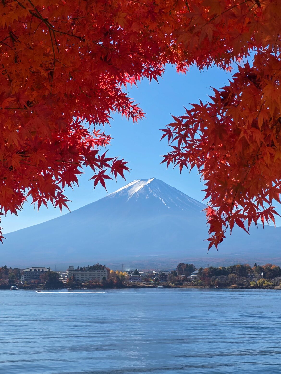 Mt. Fuji, what a beauty you are.