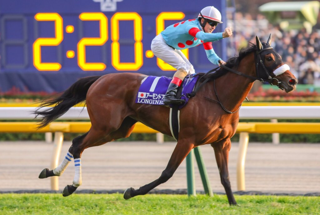 Almond Eye 2018 Japan Cup