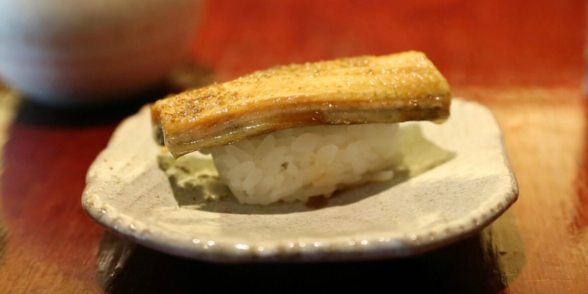 The eel wars: Japan and America fight tooth and nail against new protections as some freshwater populations plunge over 90% from the 1980s