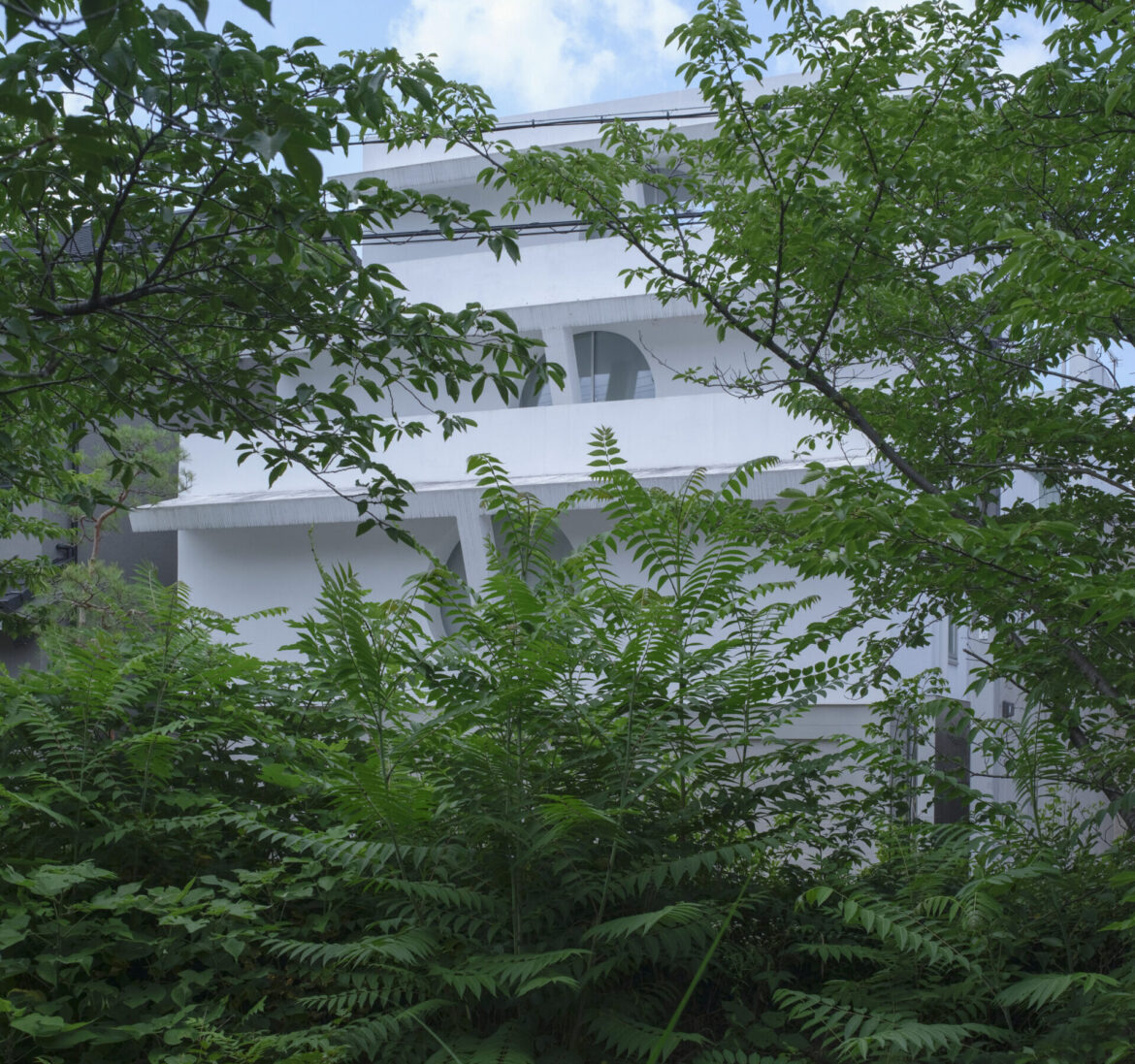 What Do You Get When You Cross Traditional Japanese Architecture with American Materials? What Do You Get When You Cross Traditional Japanese Architecture with American Materials?