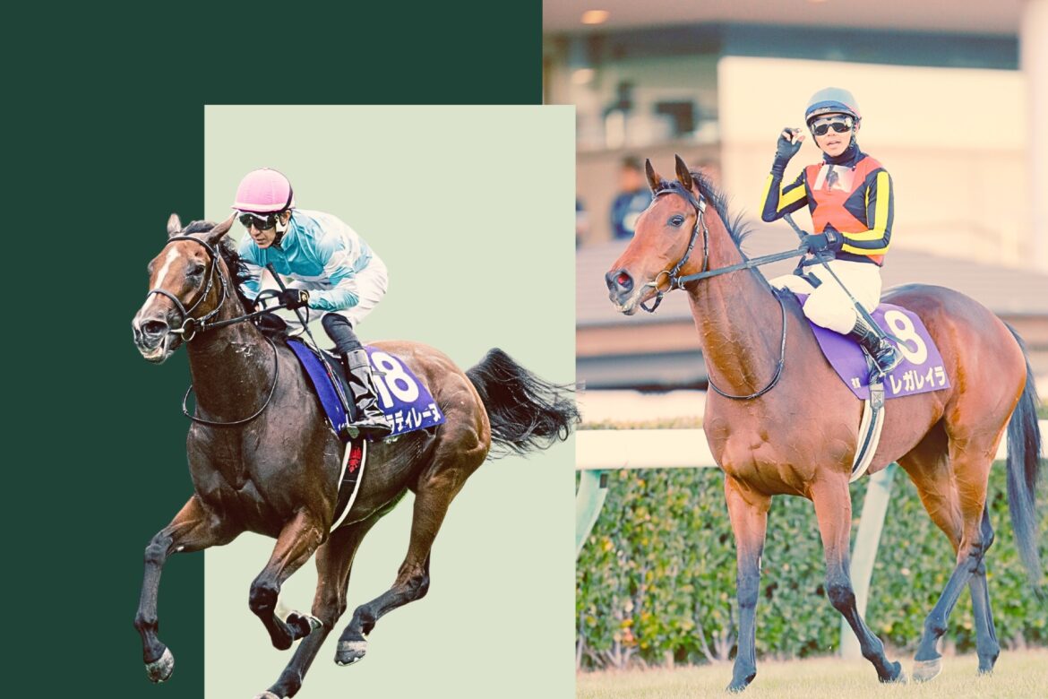 expert tips and betting guide expert tips and betting guide