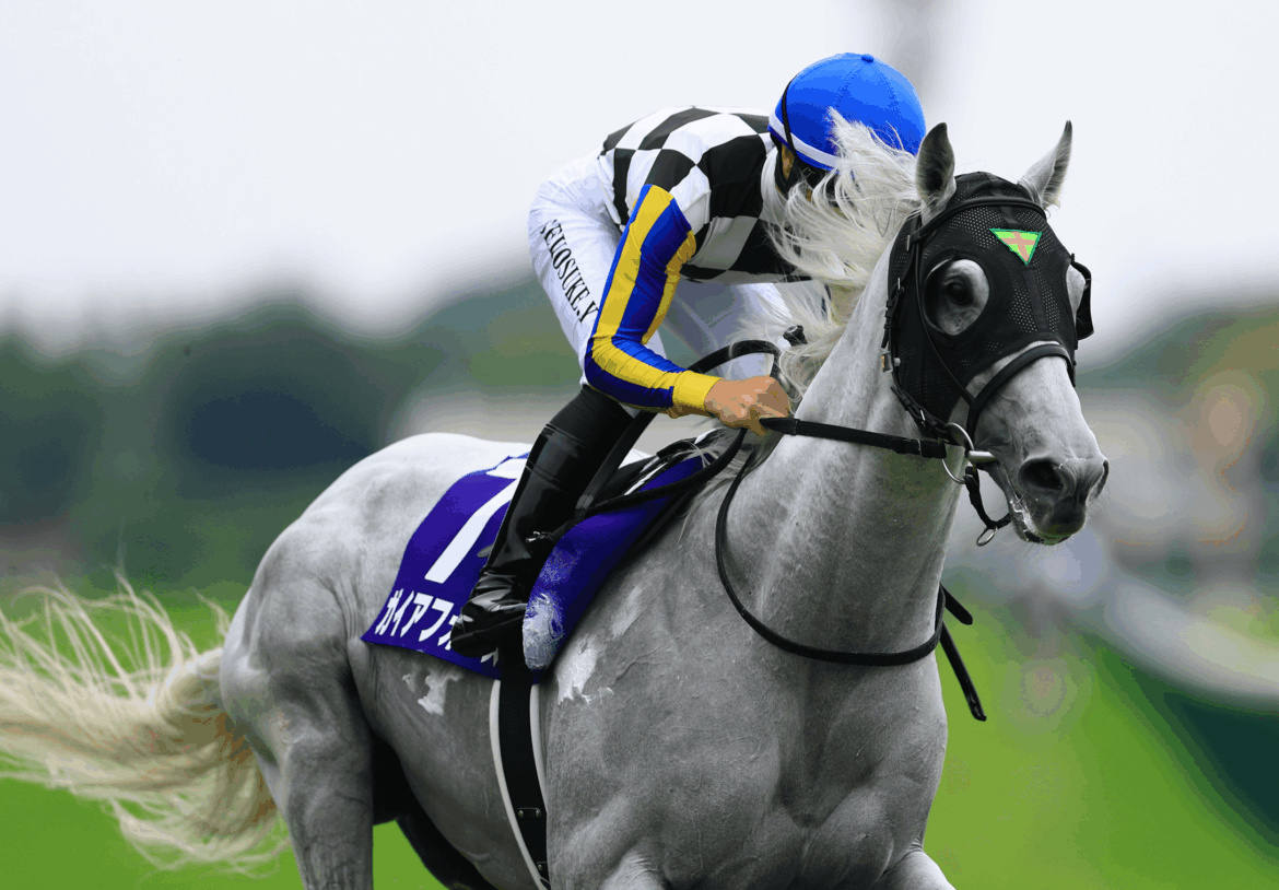 What you need to know about Kyoto G1