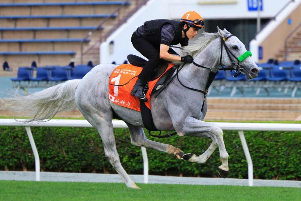 Gaia Force ahead of the 2025 G1 Champions Mile