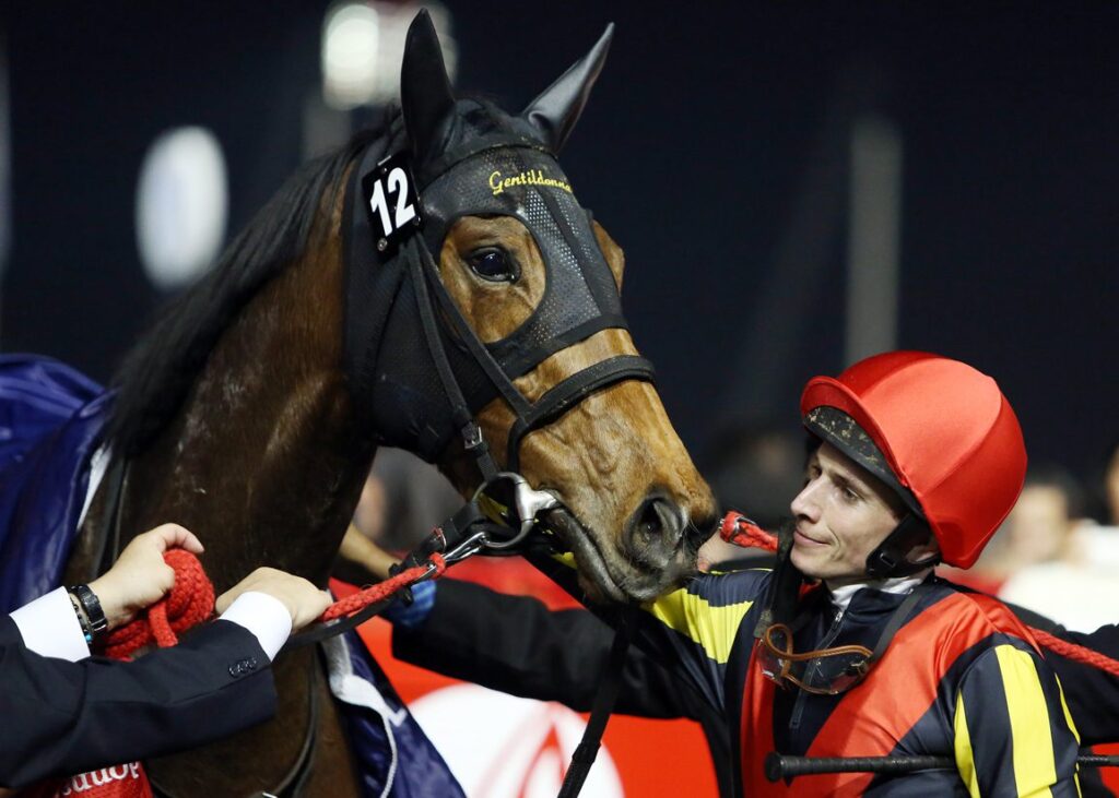 Dual Japanese Horse Of The Year Gentildonna Dies At 16 Dual Japanese Horse Of The Year Gentildonna Dies At 16
