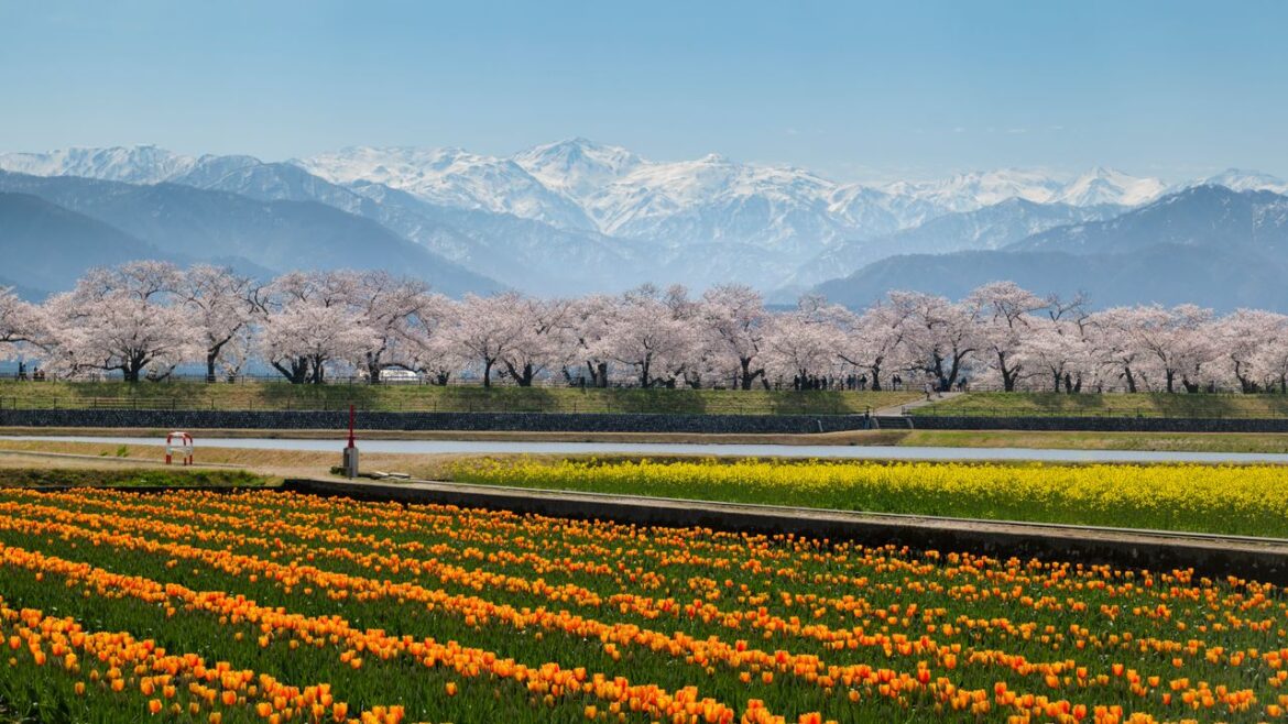 What to do in central Hokkaido, Japan's tranquil northern escape