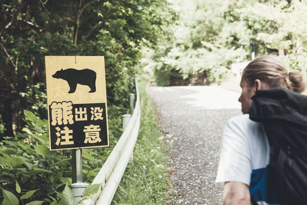 U.S. Government Warns Americans in Japan About Bear Attacks U.S. Government Warns Americans in Japan About Bear Attacks