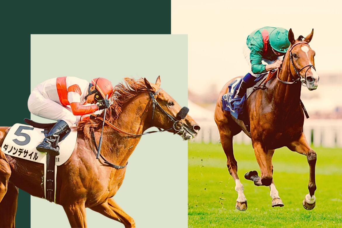 Expert tips, analysis & betting guide for Tokyo G1 Japan Cup contenders Danon Decile and Calandagan