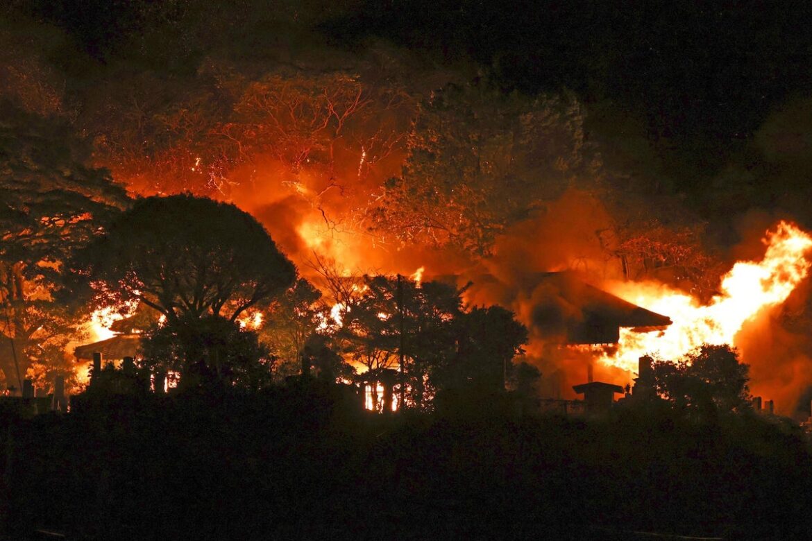 Japan wildfire: Huge fire tearing through southern Japan forces evacuations of more than 170 homes Japan wildfire: Huge fire tearing through southern Japan forces evacuations of more than 170 homes