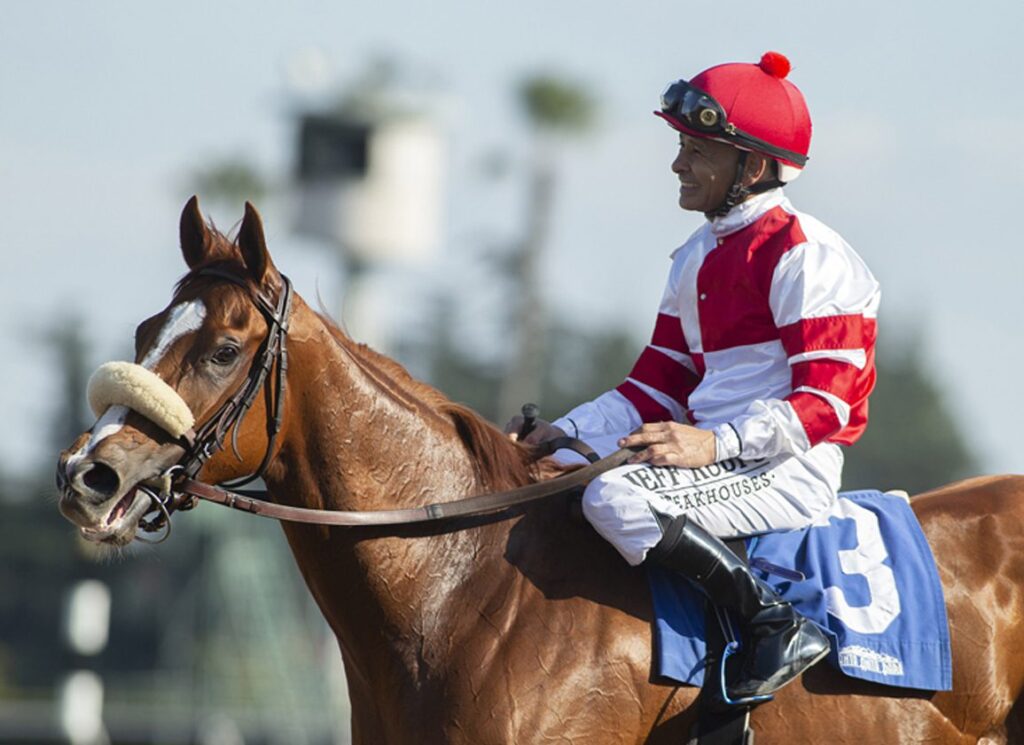 Into Mischief's Satono Voyage Stays Unbeaten On Dirt at Tokyo