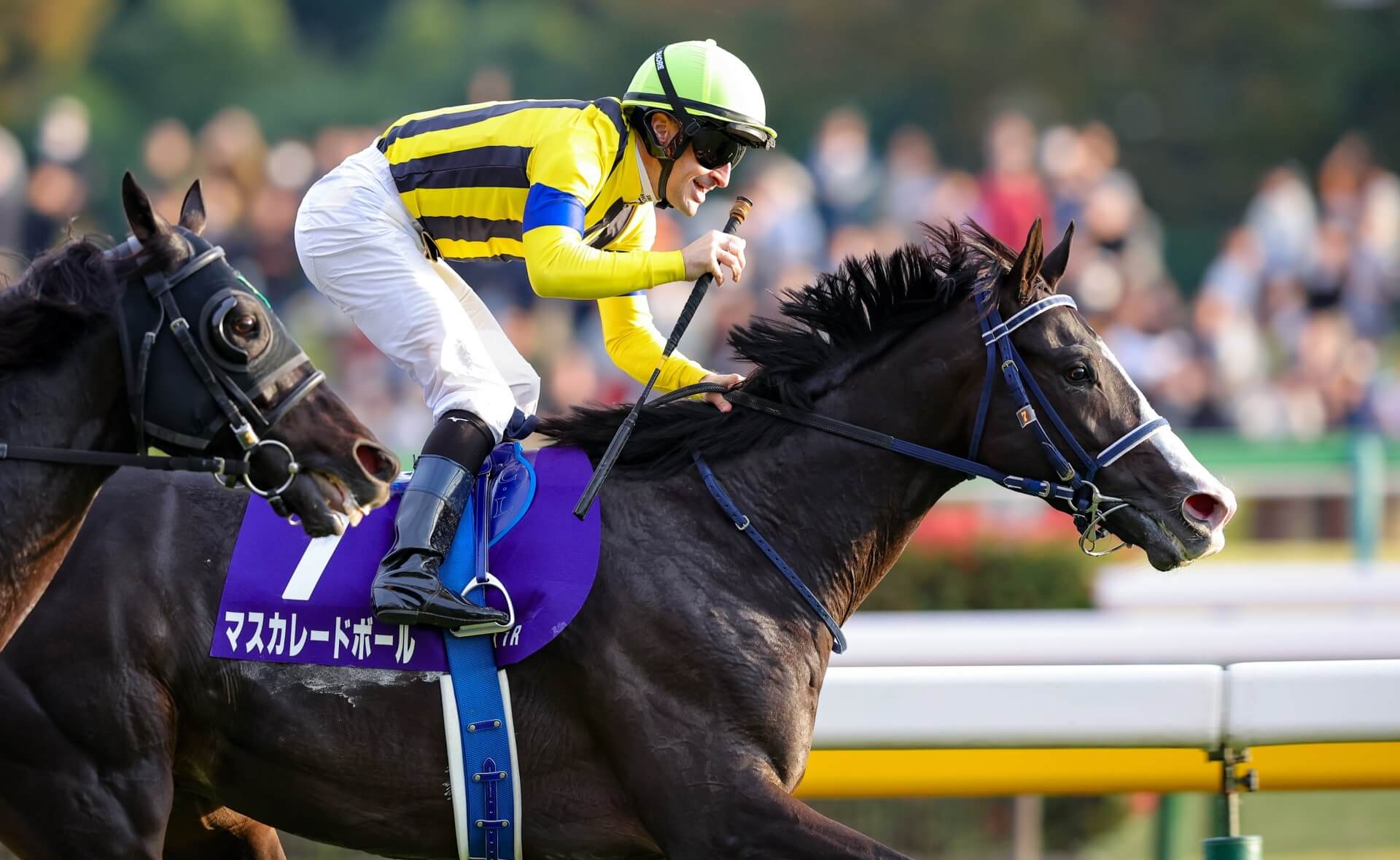 Masquerade Ball wins the G1 Tenno Sho (Autumn) for Christophe Lemaire