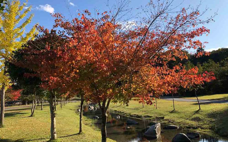 Lake Miyagase and fall foliage.