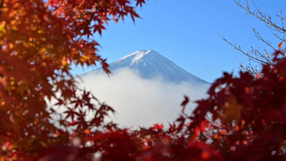 Japan’s Mount Fuji: Autumn beauty draws crowds despite rising bear fears