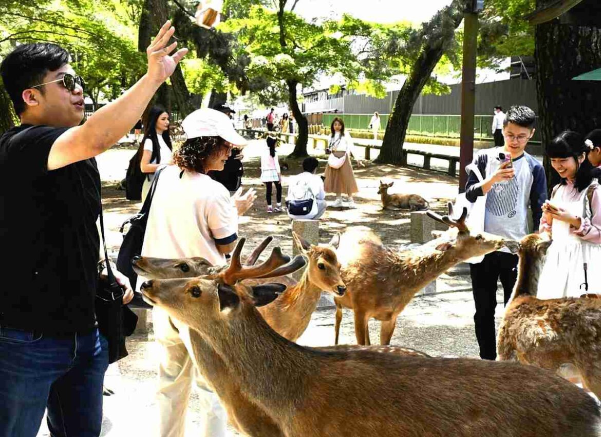 Nara Pref. Attracts Attention as Hot Spot for Lodging as Osaka, Kyoto Become Overcrowded with Tourists Nara Pref. Attracts Attention as Hot Spot for Lodging as Osaka, Kyoto Become Overcrowded with Tourists