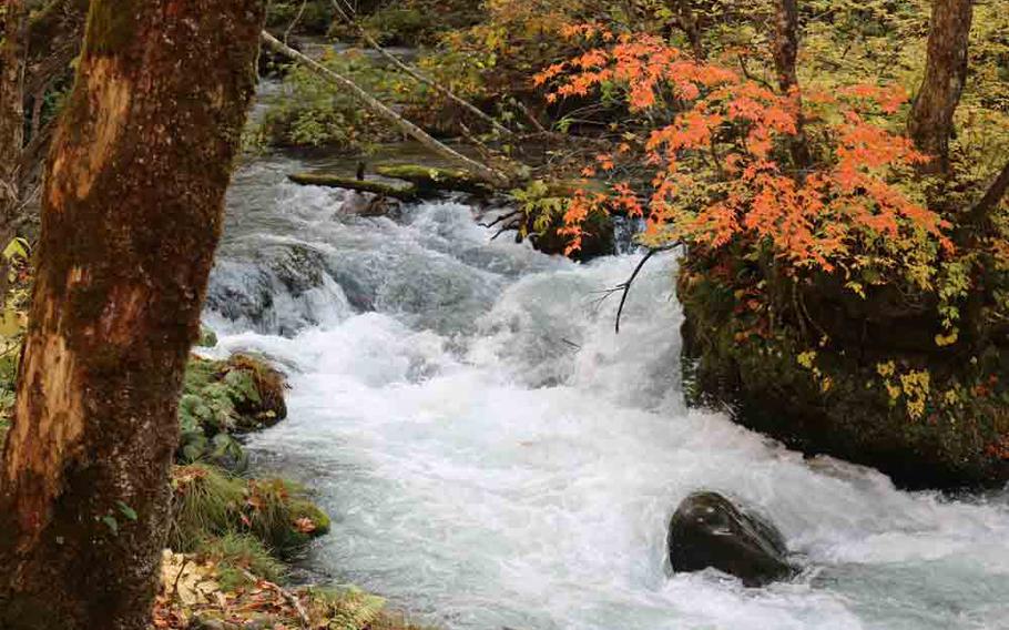 Oirase Mountain Stream and fall foliage.