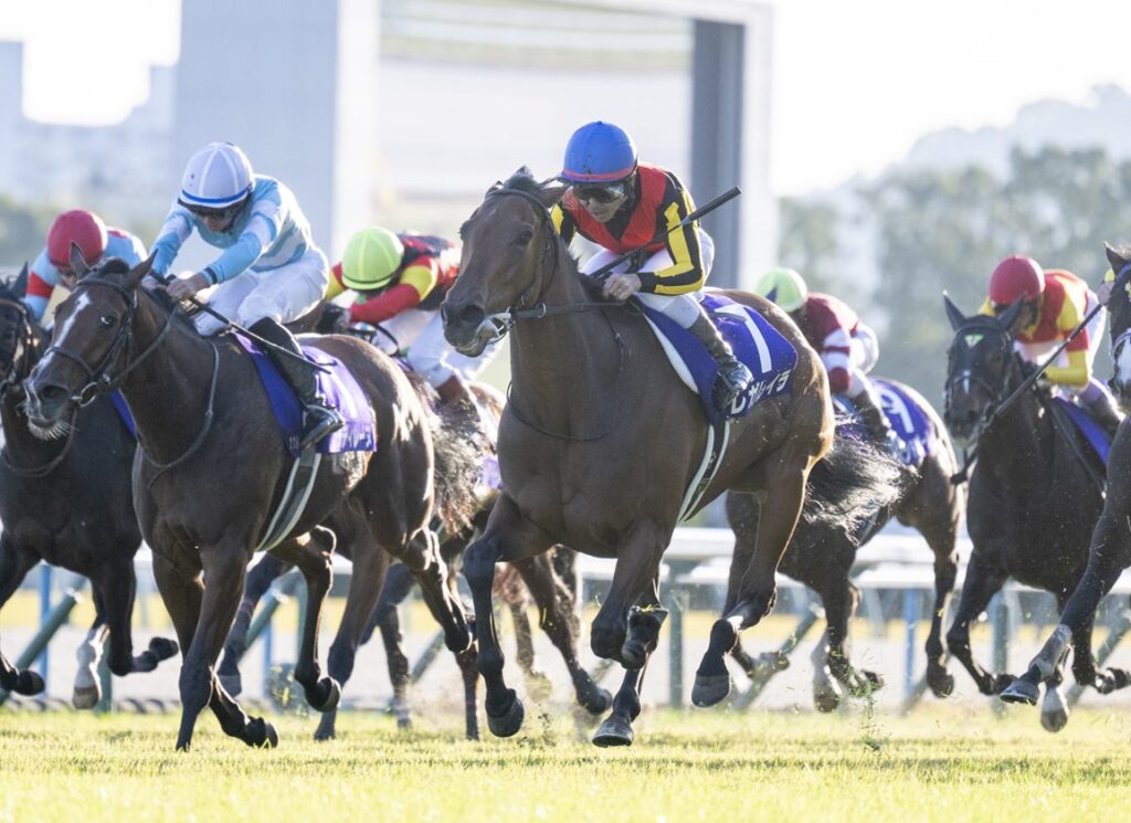 Regaleira Dominates Queen Elizabeth II Cup at Kyoto Regaleira Dominates Queen Elizabeth II Cup at Kyoto