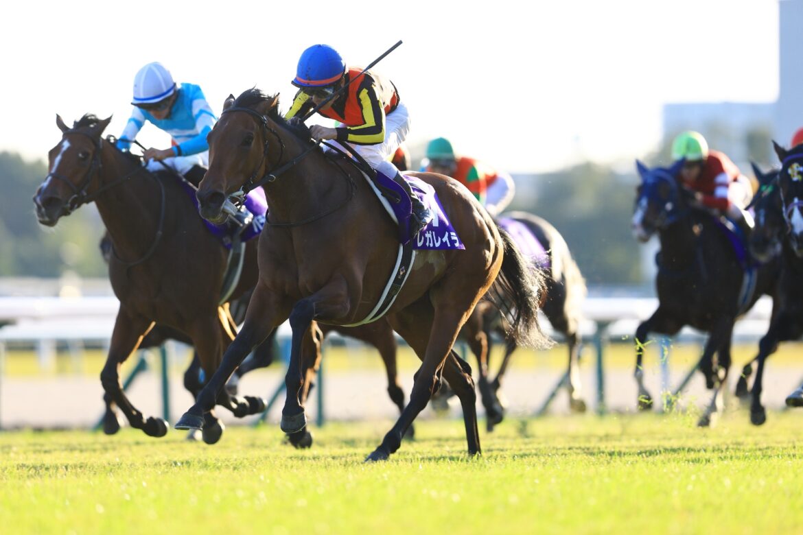 Regaleira wins G1 Queen Elizabeth II Cup in race-record time Regaleira and Keita Tosaki claim the Queen Elizabeth II Cup at Kyoto