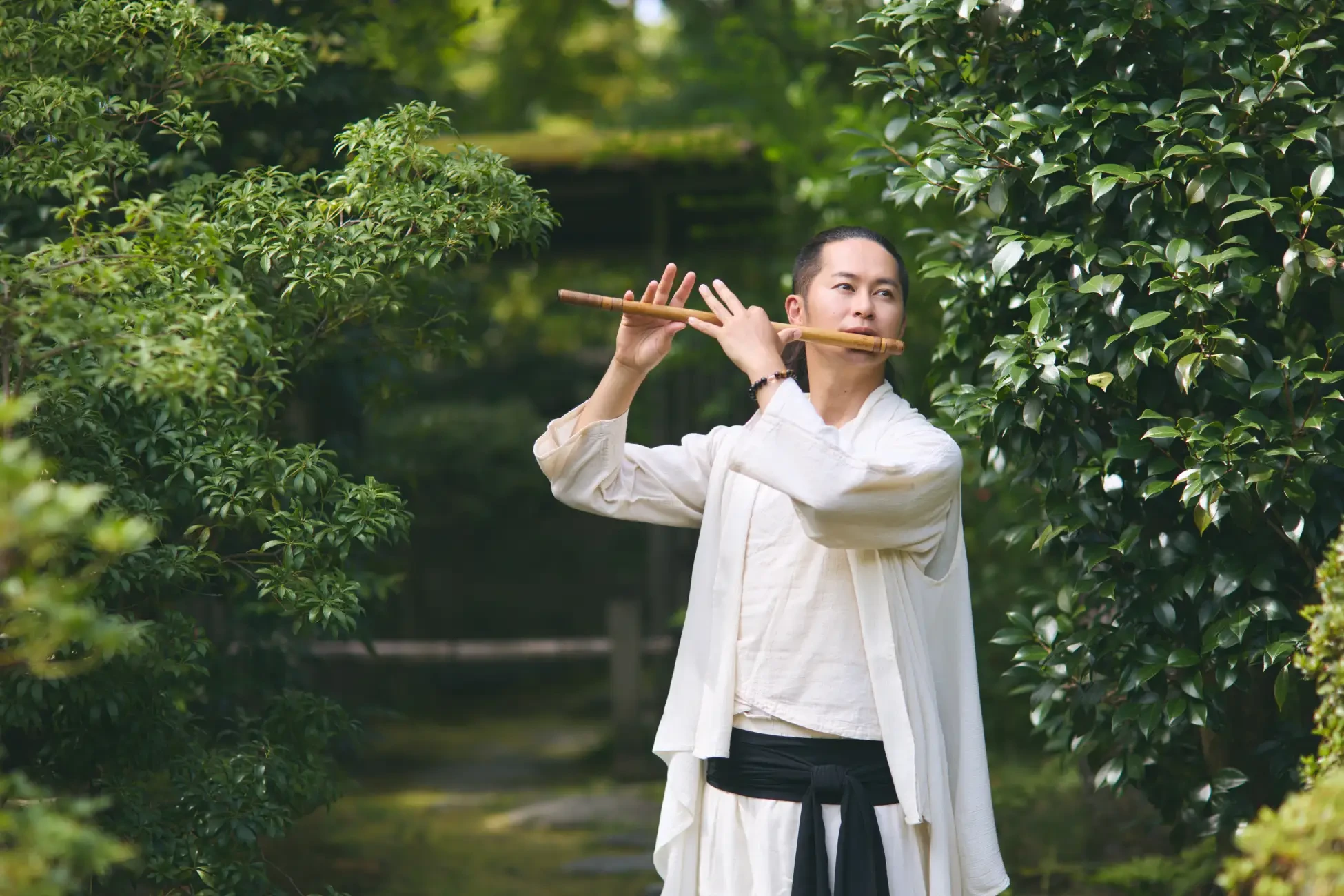 Rokuo in Temple Autumn Night Viewing 8