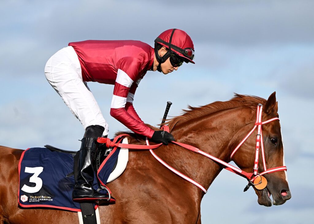 17 Horses Clash in Japan Cup 17 Horses Clash in Japan Cup