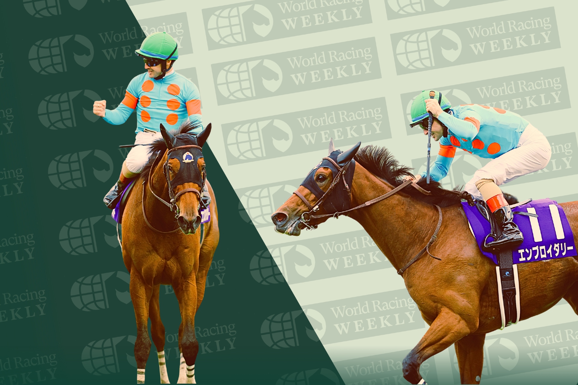 Christophe Lemaire and Embroidery