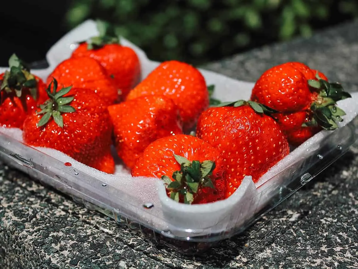 The Best Fukuoka Food and Restaurants Amaou strawberries