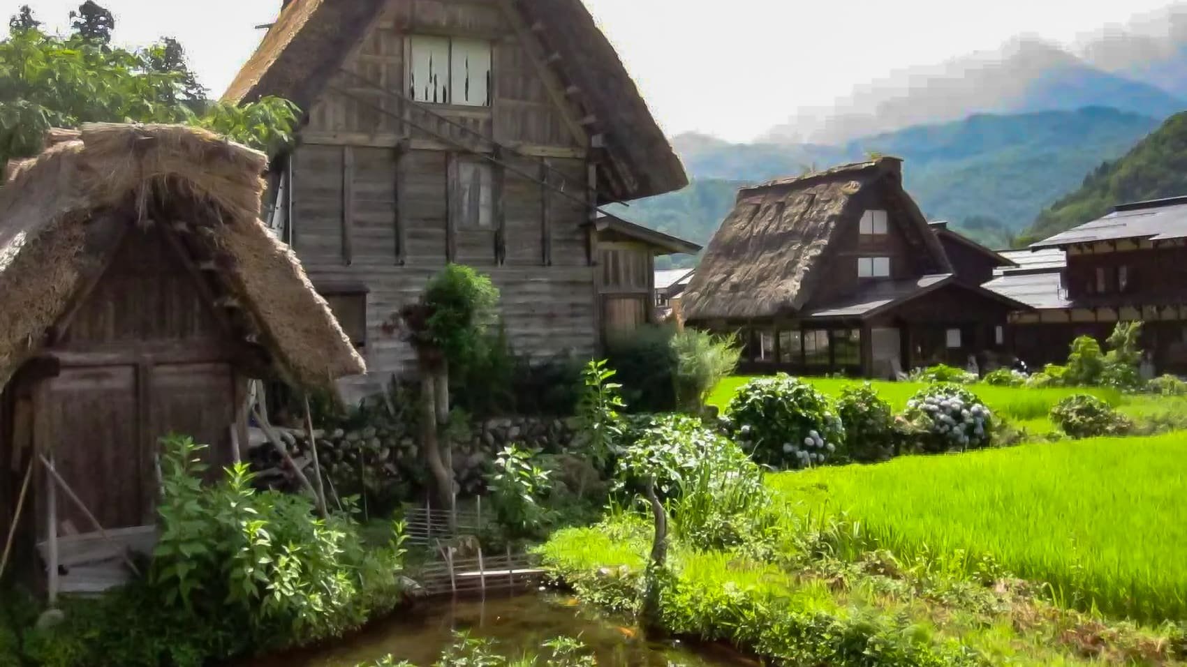 Japan To Deploy Drones That Bark Like Dogs To Scare Off Bears