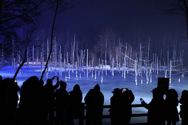 Illuminated blue pond enchanting visitors at town in Hokkaido Photo/Illutration