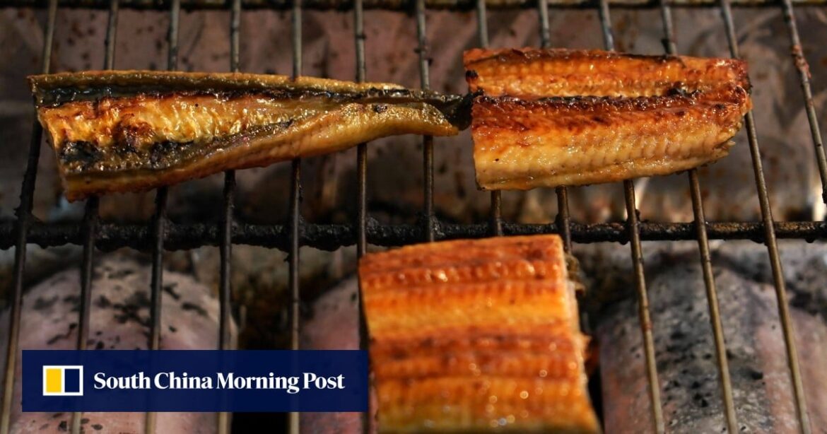 Japanese consumers fear curbs on eel delicacy ahead of global wildlife forum