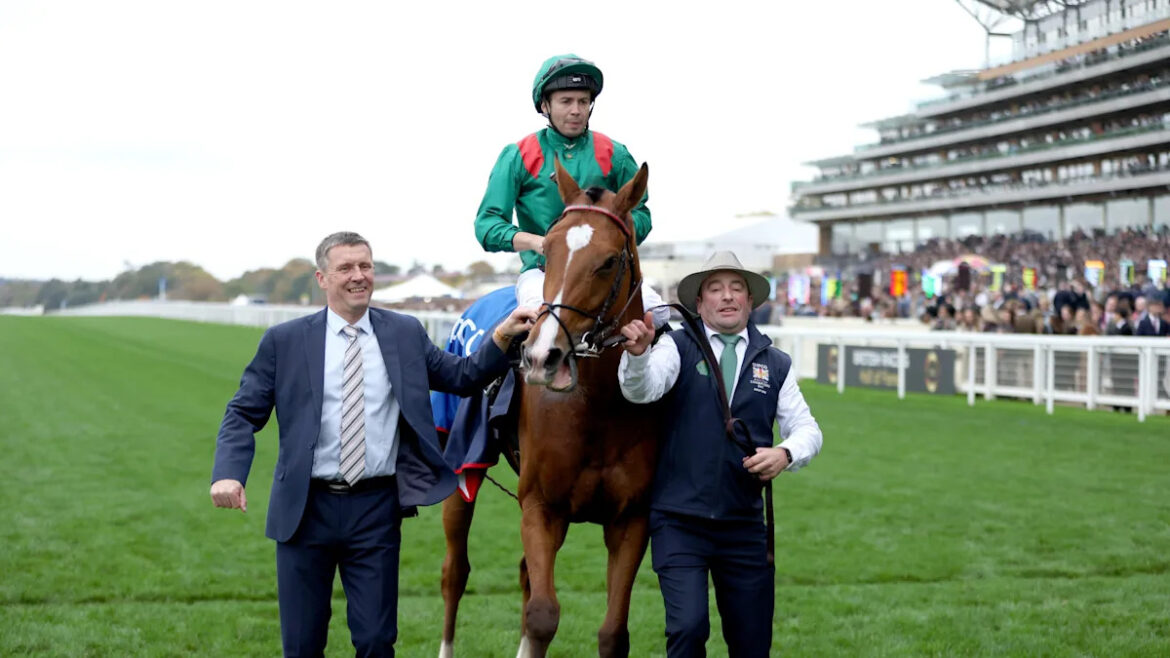 Download app from the App Store