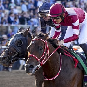 Breeders’ Cup rankings update: ‘This is like if the Japanese team won the World Cup’ – historic Classic success for Forever Young | Topics: Bentornato, Jamie Kah, Jamie Melham, Jose D’Angelo, Nysos, Masquerade Ball, TRC Global Rankings, Del Mar, Shisospicy, Ethical Diamond, Willie Mullins, Forever Young, Scylla, Melbourne Cup, Dylan Browne McMonagle, Half Yours, Flemington, Breeders’ Cup, Yoshito Yahagi, Breeders’ Cup Classic, Ted Noffey Breeders’ Cup rankings update: ‘This is like if the Japanese team won the World Cup’ – historic Classic success for Forever Young | Topics: Bentornato, Jamie Kah, Jamie Melham, Jose D'Angelo, Nysos, Masquerade Ball, TRC Global Rankings, Del Mar, Shisospicy, Ethical Diamond, Willie Mullins, Forever Young, Scylla, Melbourne Cup, Dylan Browne McMonagle, Half Yours, Flemington, Breeders' Cup, Yoshito Yahagi, Breeders' Cup Classic, Ted Noffey