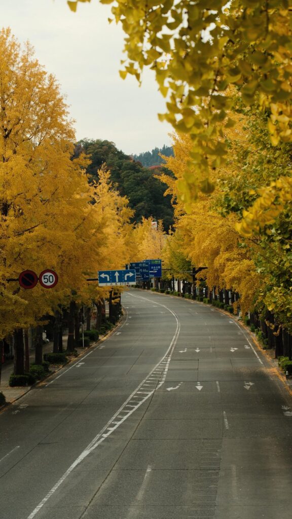 Autumn just hits different