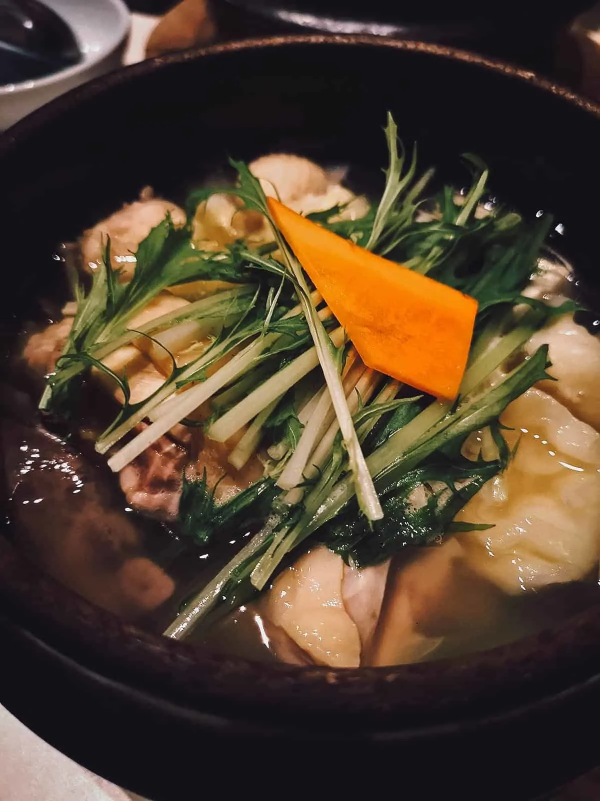 The Best Fukuoka Food and Restaurants Mizutaki in Fukuoka