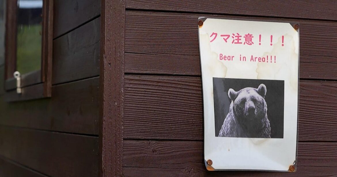 U.S. issues unusual warning to Americans in Japan: Beware of bear attacks U.S. issues unusual warning to Americans in Japan: Beware of bear attacks