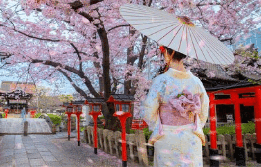 Iberia adds more Tokyo flights for cherry blossom season Iberia adds more Tokyo flights for cherry blossom season