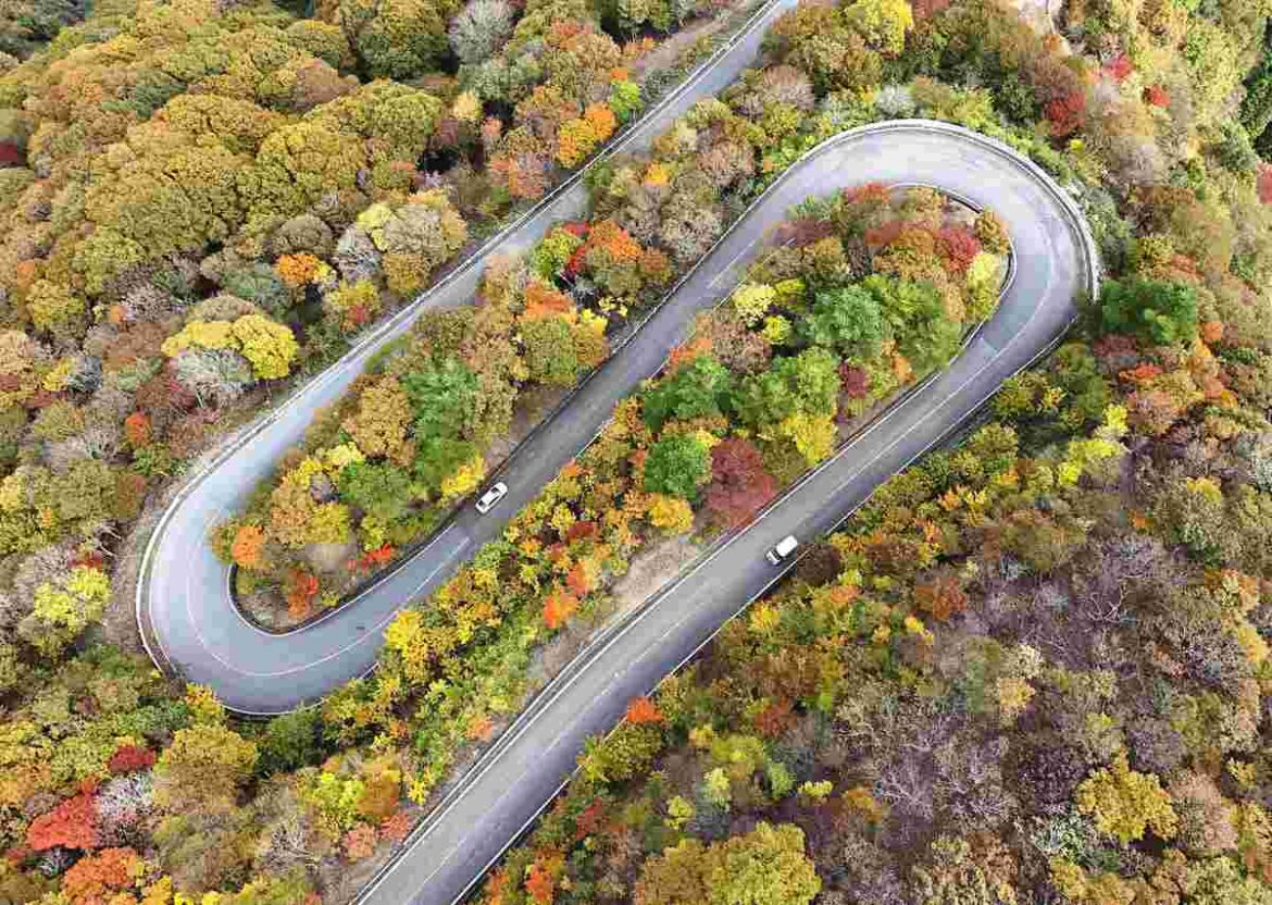Autumn Foliage Coloring Mountain on Gifu-Shiga Border Autumn Foliage Coloring Mountain on Gifu-Shiga Border