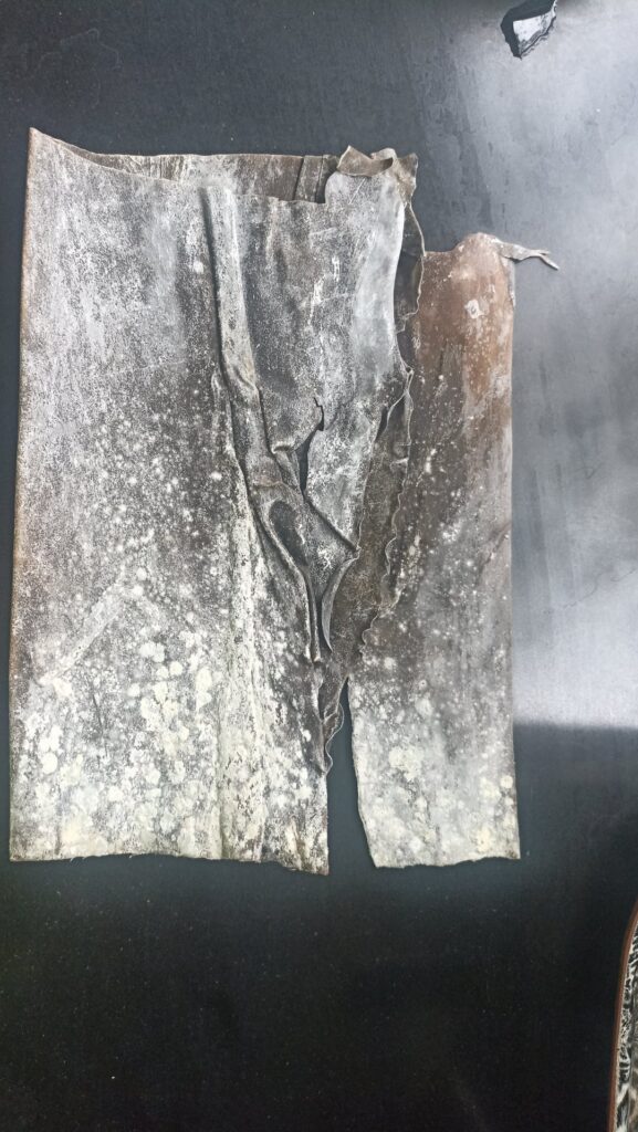 [Food Safety] Is this kombu still safe to eat? White spots and some yellow-green areas