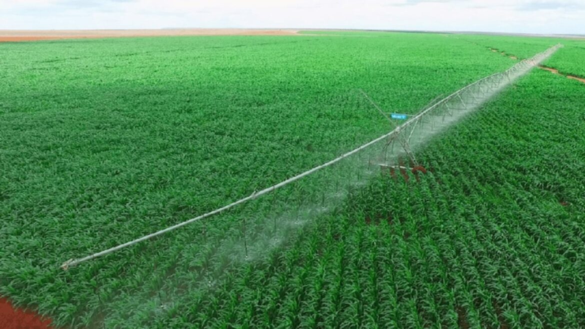 Morocco secures US$346.7M Japanese loan to expand irrigation - Milling Middle East & Africa Magazine