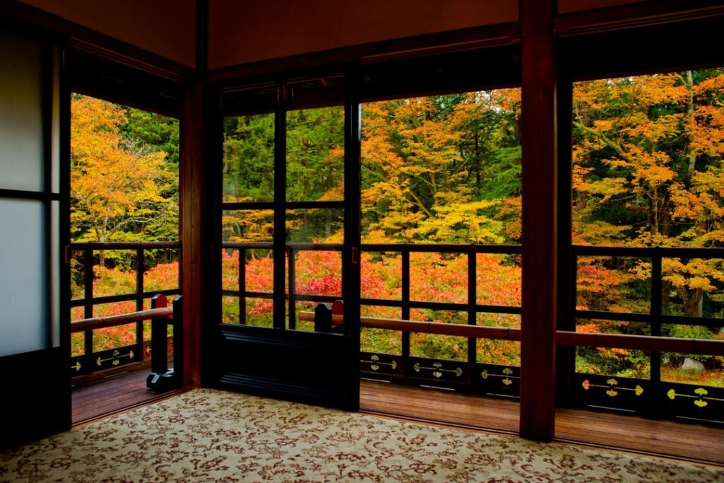 Early 2025 Autumn Compilation