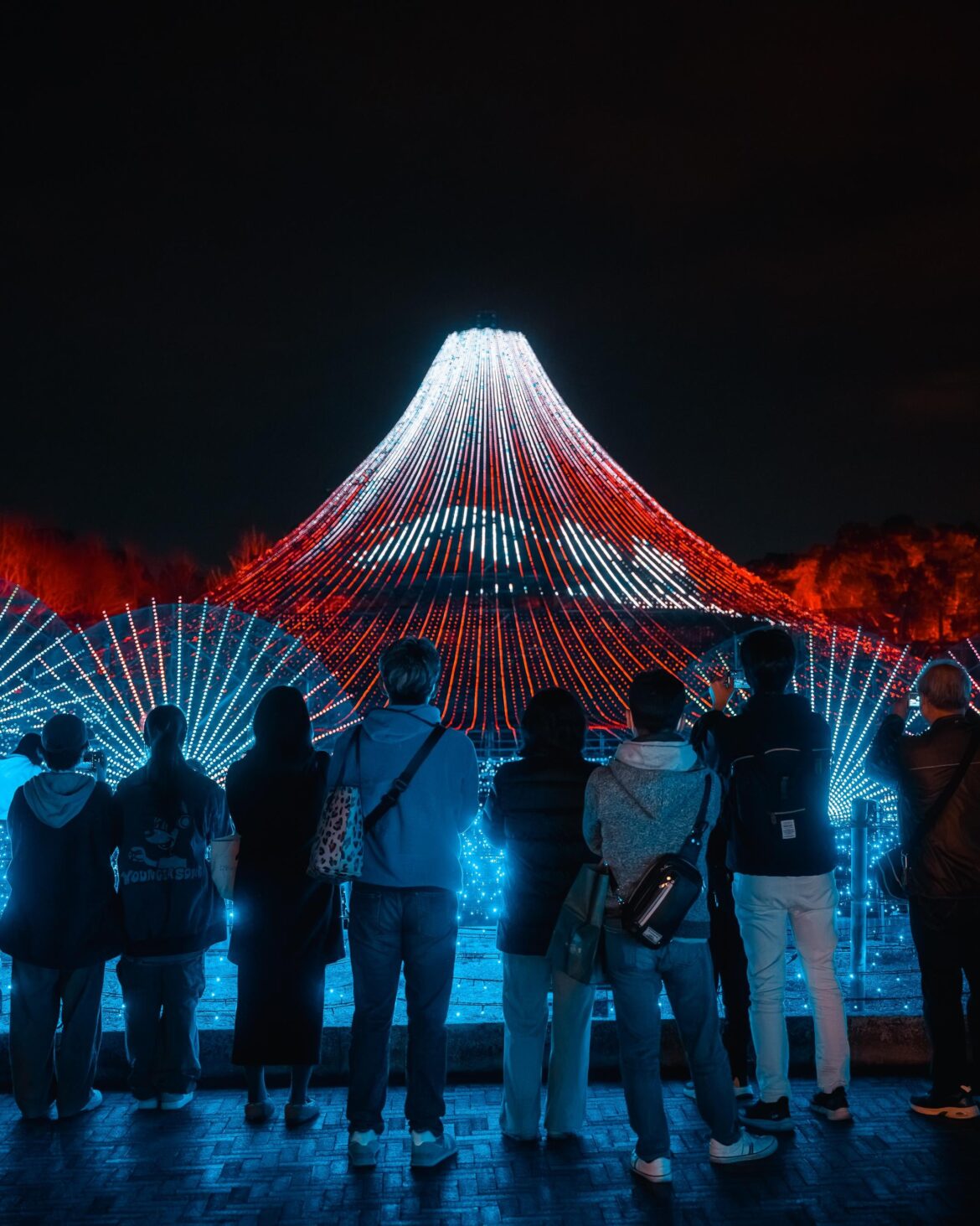 Nabana No Sato Illumination, Mie Prefecture