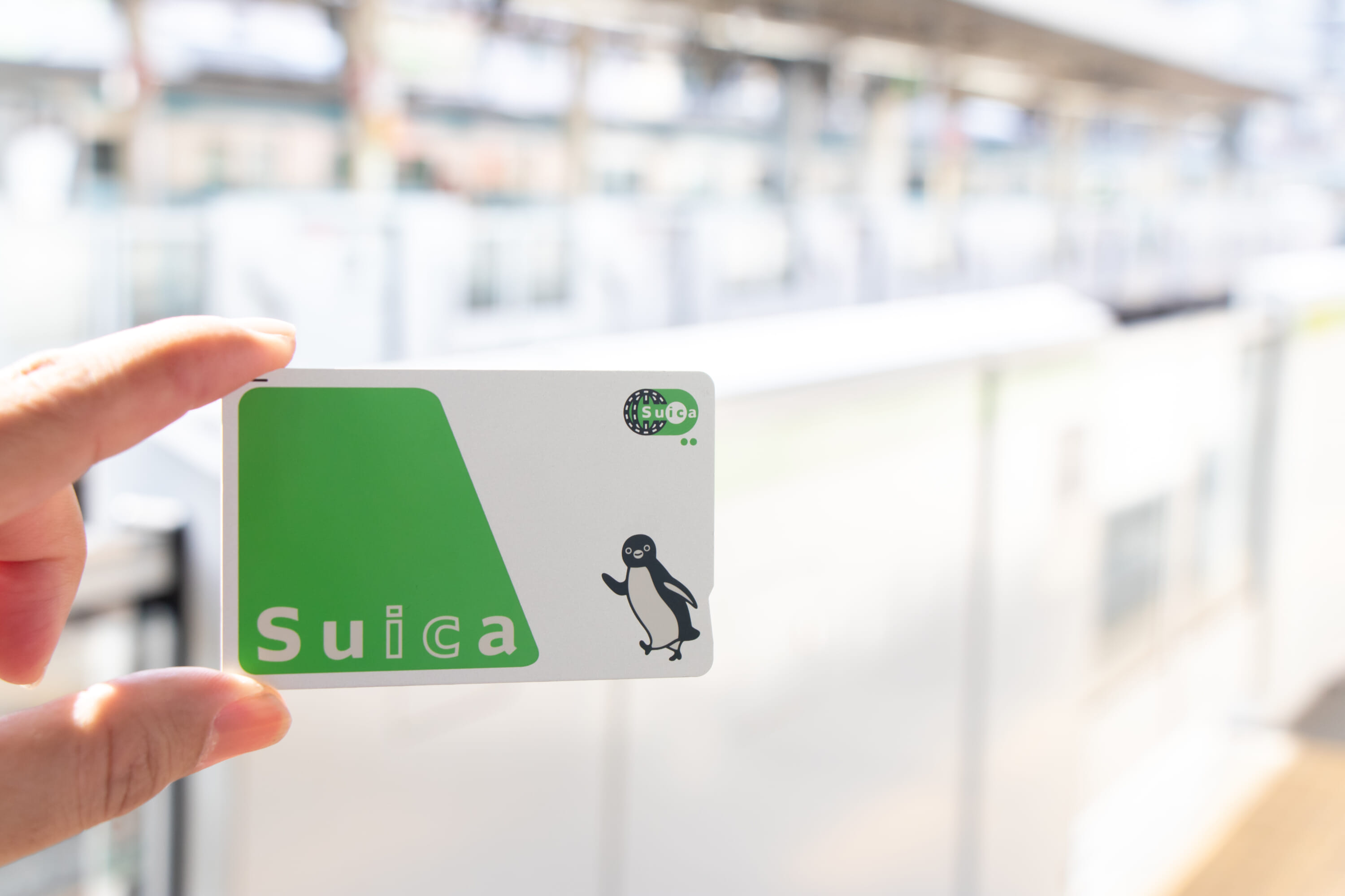 Suica penguin