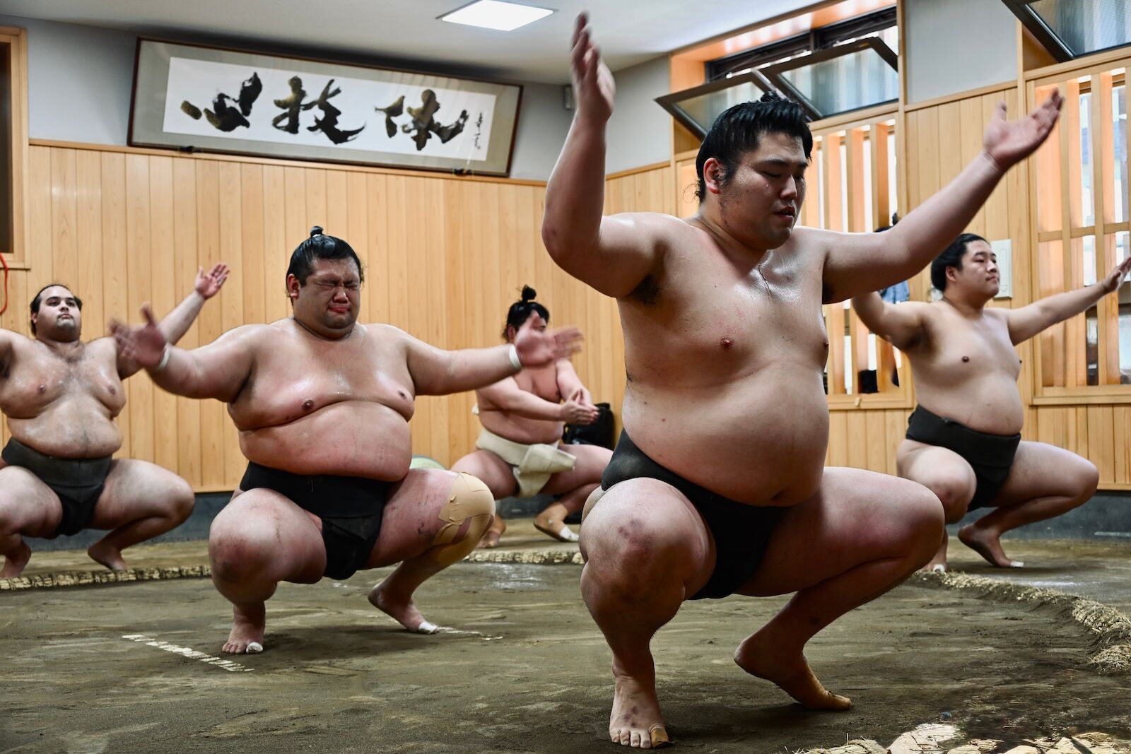 modern day sumo athletes