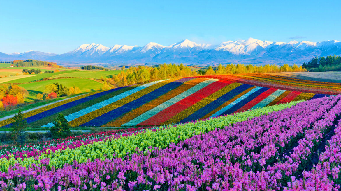 Canada Issues Travel Warning For One Of The World’s Safest Countries Amid Fatal Attacks